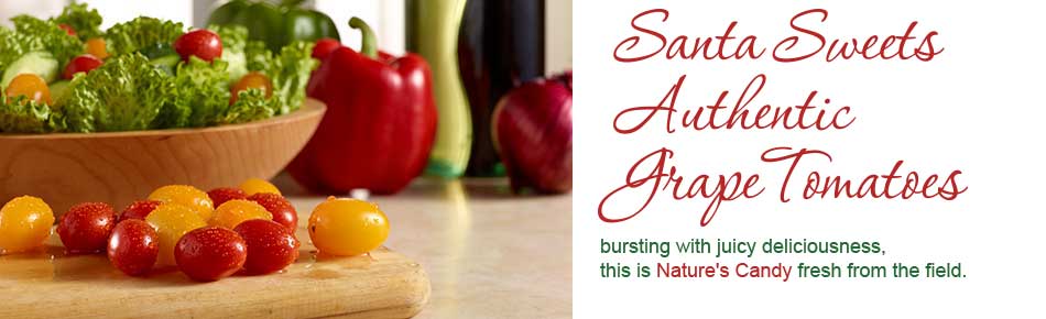 Santa Sweest Authentic Grape Tomatoes bursting with juicy deliciousness, this is Nature's Candy fresh from the field.