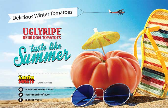 UglyRipes Tomatoes Taste Like Summer